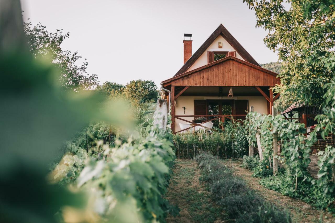 Szent Gyoergy Cottage Hegymagas Buitenkant foto